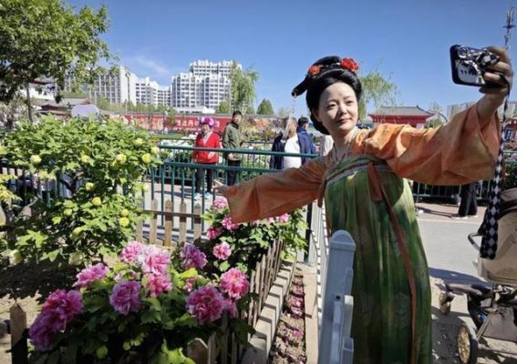 菏泽牡丹节：珍稀品种接力绽放，五一花期延续