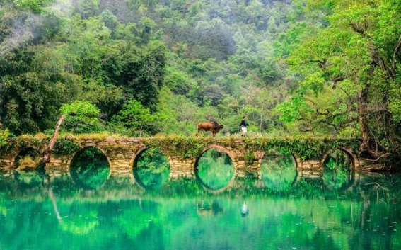 黔南的绿宝石：荔波喀斯特与其世界自然遗产之美