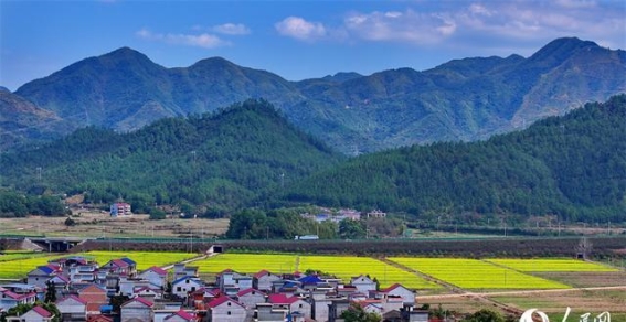 江西吉水：打造和美乡村，绘就绿色振兴之路