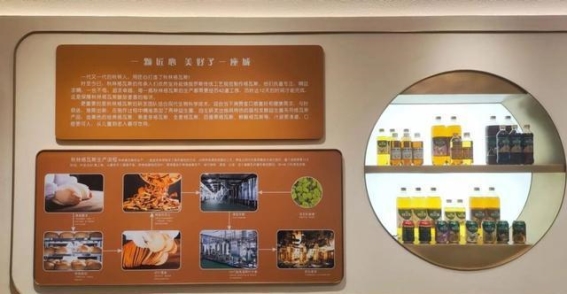 哈尔滨冬季的魅力与秋林格瓦斯的浪漫