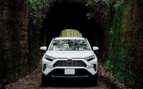 2025年6月SUV销量解析：Model Y连冠，比亚迪宋PLUS追随其后