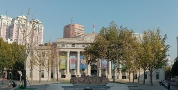 武汉美术馆前梧桐树的重生与怀念