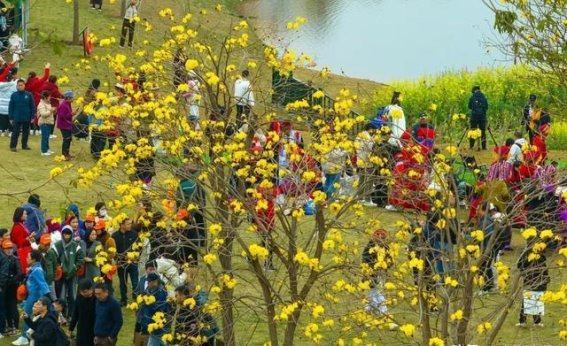广西出台“一票3日使用制”新政策，提升游客体验
