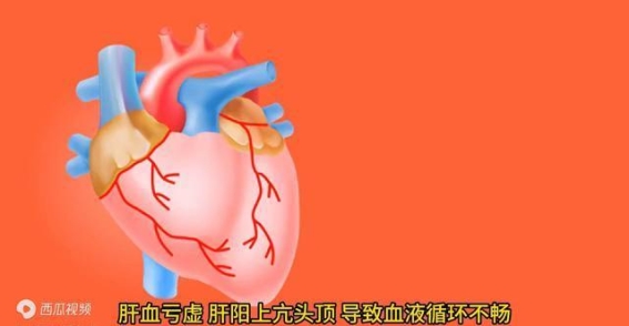 头痛反映内脏健康：不同部位的疼痛背后的身体信号