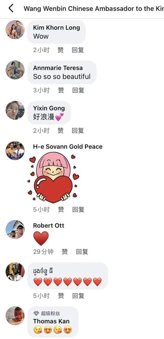 武汉木兰云雾山的映山红：春日里的绚丽花海