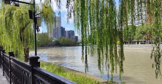沿着苏州河的文化之旅，打卡这些温暖的社区宝藏