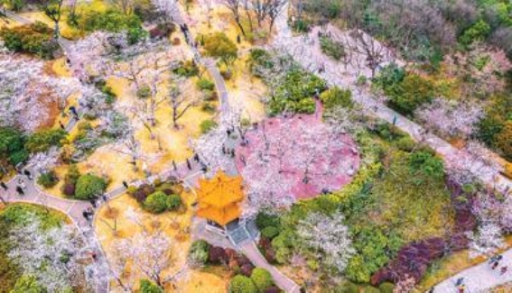 春游徐州，邂逅山水人文与现代活力的完美融合