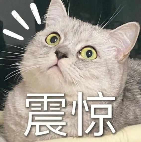 寒风来袭，冬日阳光依旧温暖