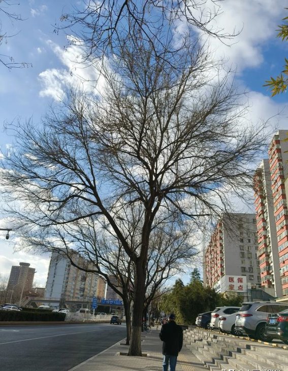 冬日的街头：走过寒冷，温暖依旧