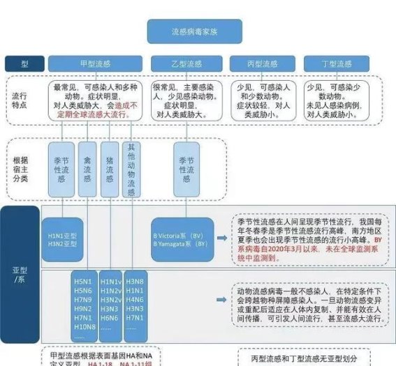 冬季来临，甲流防控要从了解开始