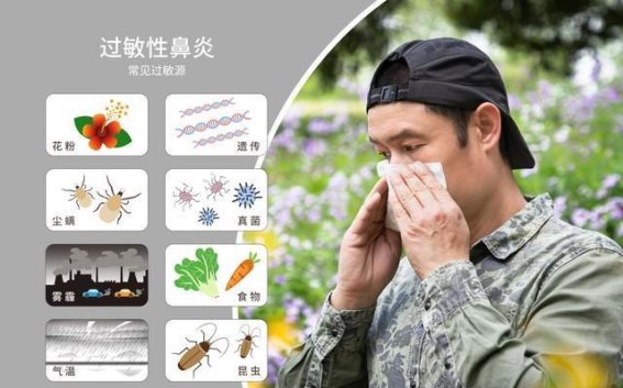 过敏性鼻炎的隐秘危机：2亿患者背后的健康问题