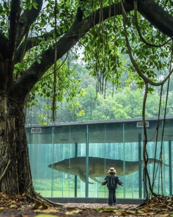 广州番禺的隐秘之境：四海马术的静谧自然探秘