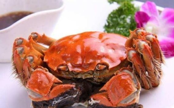 滁州市的味道：探寻滁州的特色美食与风味