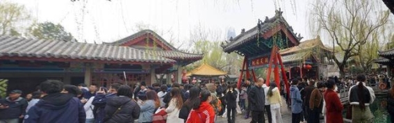 春光中的玉兰：趵突泉的早春记忆