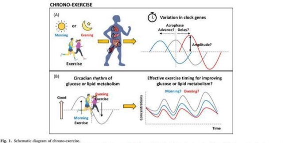 熬夜后千万别做这件事，等于作死！你需要知道的真相