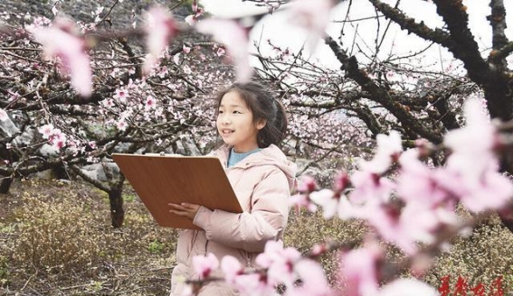 春光乍泄，花海游人如织