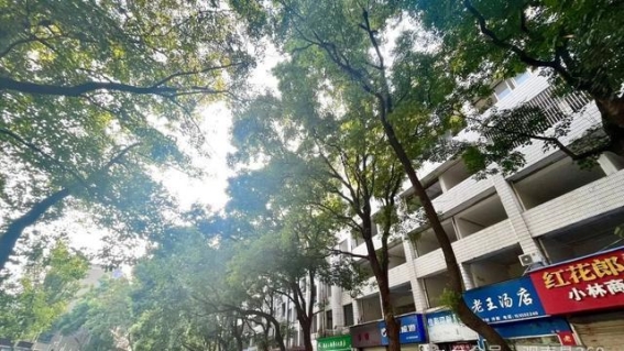 南昌酒店建设潮涌：新地标酒店集结待发