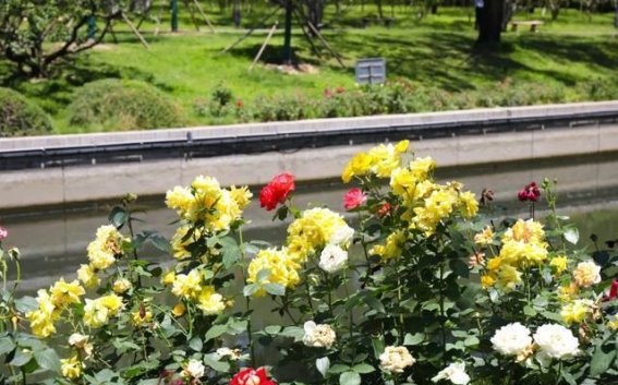 海淀元大都城垣遗址公园焕新升级，古今交织的自然与历史之美