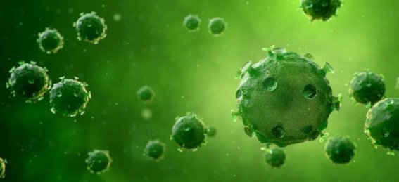 溶瘤病毒：癌症治疗的新希望与未来展望