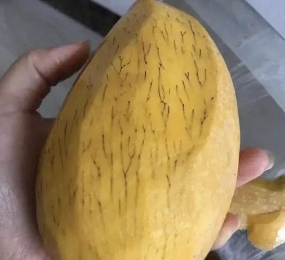 如何辨别这些“怪水果”是否安全食用？看完这份鉴定指南不再担心