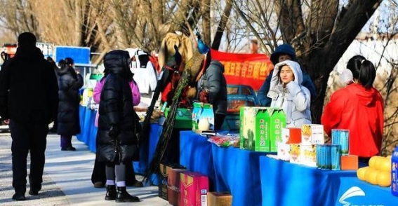 阳谷景阳湖冬捕节：渔网起伏鱼跃人欢庆丰年