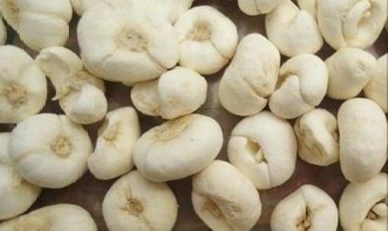 冬吃萝卜夏吃姜，白萝卜煮水，止咳化痰，一身轻！