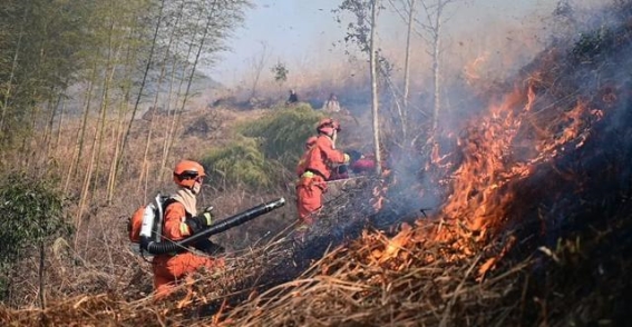 计划烧除：助力鸳鸯草场生态修复的有效路径