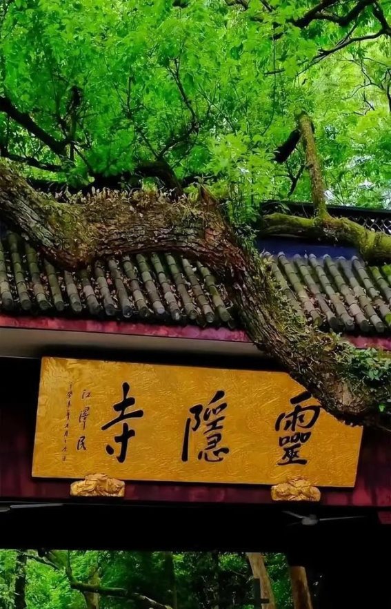 意大利总统访华，灵隐寺大门开启，中意文化交流新篇章