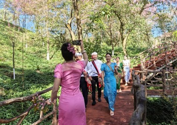 德昂女王后花园的樱花盛开，山谷中的诗意世界