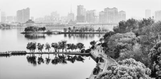 春光照耀下的象湖湿地公园
