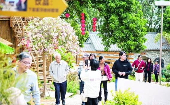 古村落的新春华章——铁岗社区的“诗和远方”