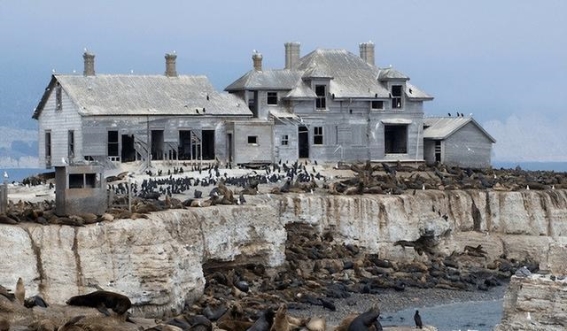 大自然的力量：生命的脆弱与顽强