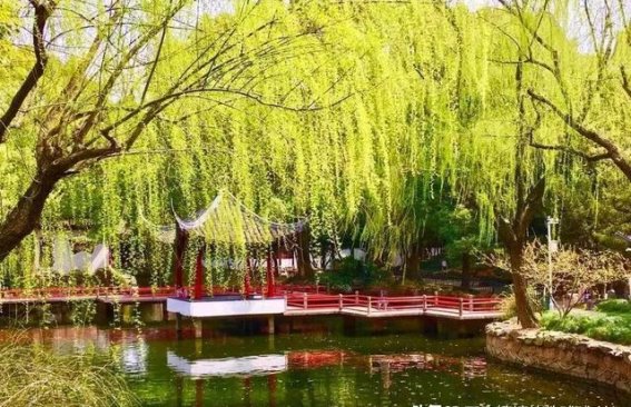 探索上海浦东的古典园林——古钟园的静谧美