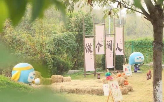 以鲤为媒，探秘历城农文旅新天地