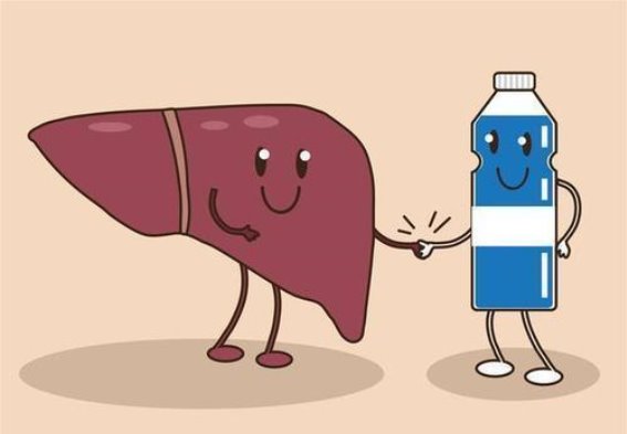 酸枣仁——养心安神的天然良方，助力失眠困扰