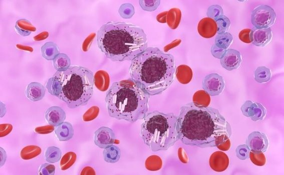 化疗前的全面准备：助力战胜癌症的关键