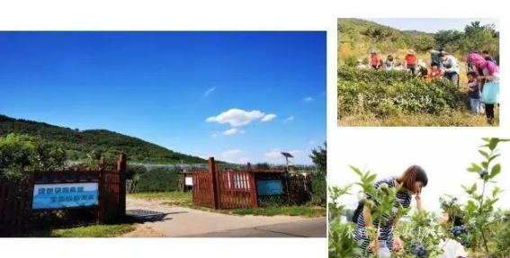 沿着苏轼的足迹，探索密州的文化之旅