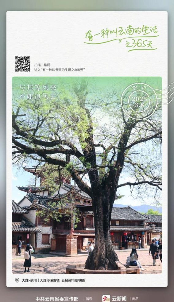 追风去，沙溪古镇是心灵的归宿