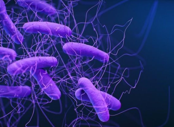 长期用药警示！这些常见药物可能降低你的免疫力，你服用了吗？