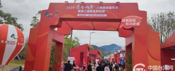 茶香萦绕，共话两岸心——武夷山茶文化交流记