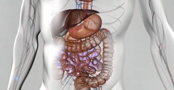 警惕“啤酒肚”！腹部特征暗藏肿瘤风险