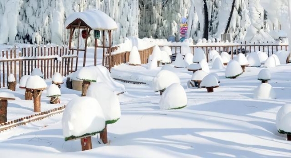 长春梦幻雪谷：冰雪中的童话奇遇