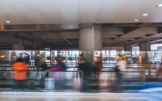 流动的力量：2024年社会变迁中的跨越与连接