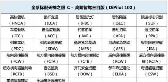 海豚智驾版：智驾科技与舒适体验的完美融合