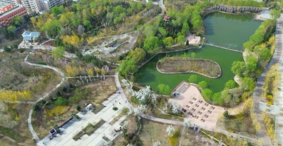 春风拂面，武威文化建设展现烟火气息