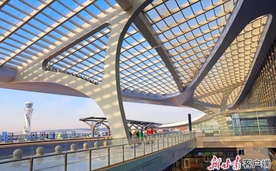 春日繁花：在温暖阳光下的城市散步