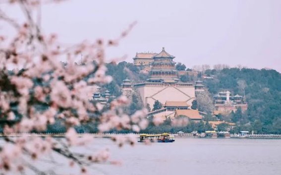 四月海淀，春色如画：在科技与自然的交汇处奔跑