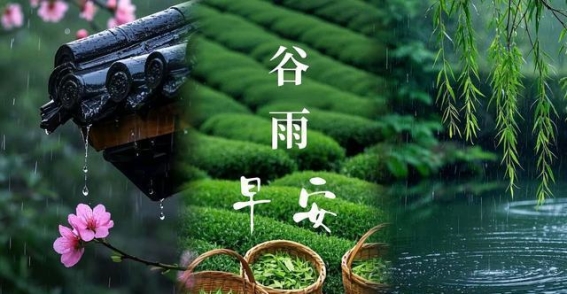 谷雨时节，细雨润春生机