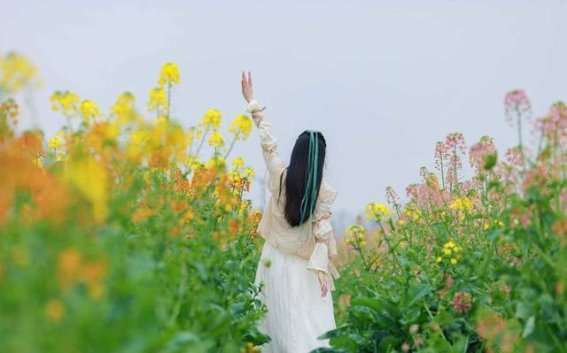 春光绽放，花海经济新机遇——2025新津春糖季精彩启幕