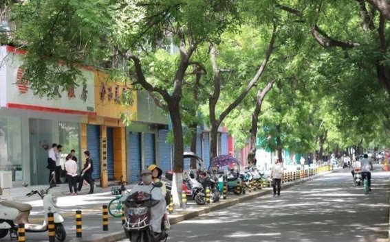 西安青年路街道：历史的底蕴与现代的活力